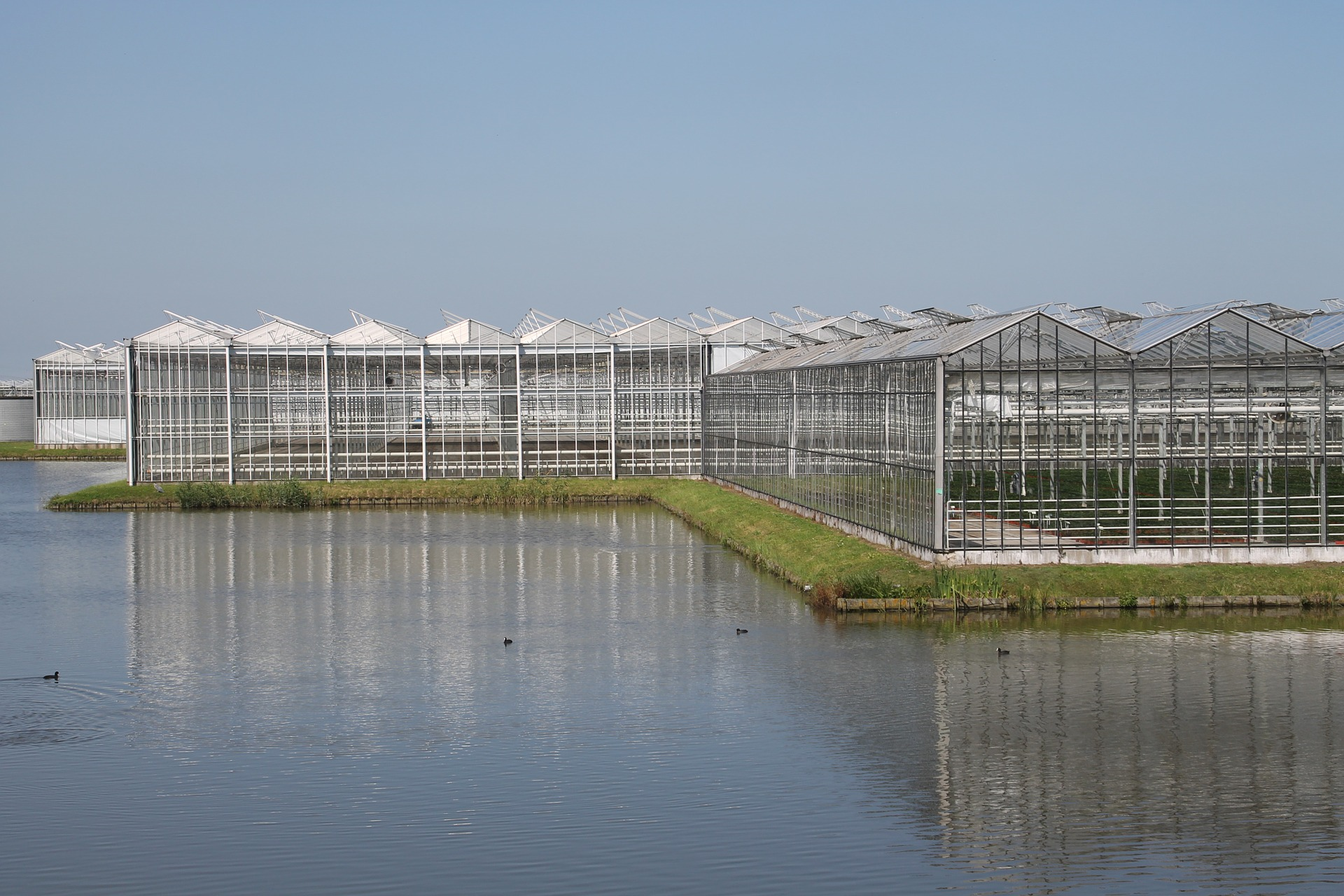 Nieuwe Cao Glastuinbouw - FNV