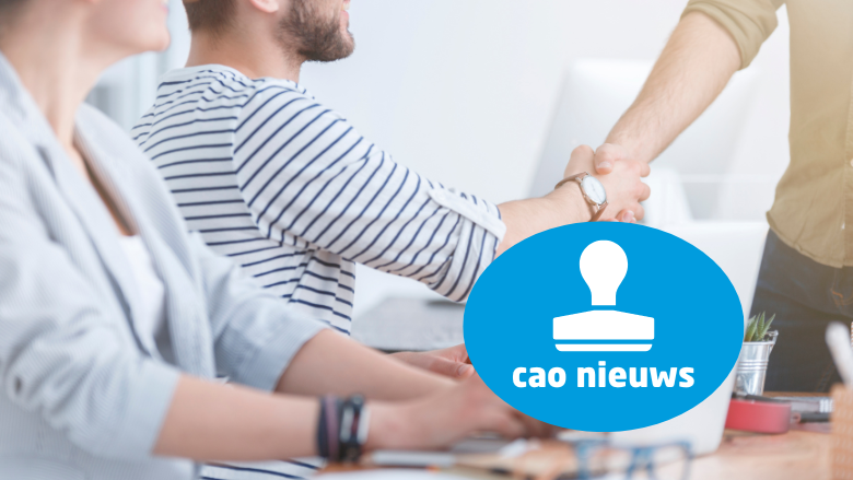 Cao-resultaat Voor Doe-Het-Zelf-medewerkers - FNV